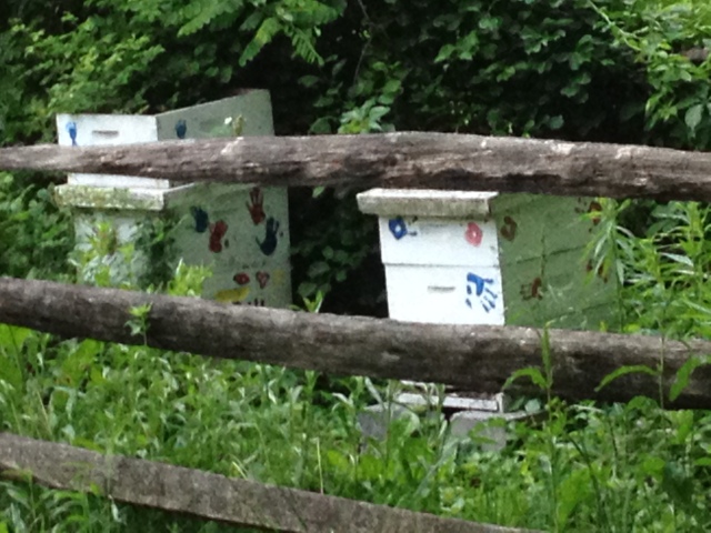 Bee Boxes