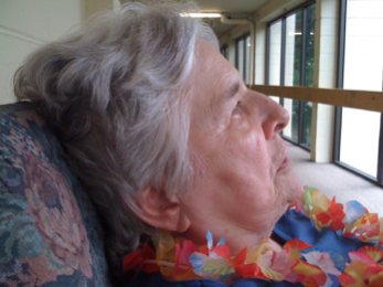 Screen Shot 2015-11-08 at 2.31.16 PM