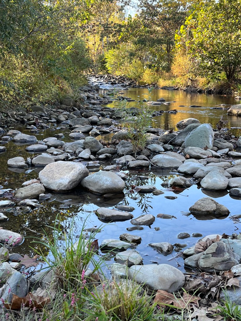 River paying no mind © pam lazos